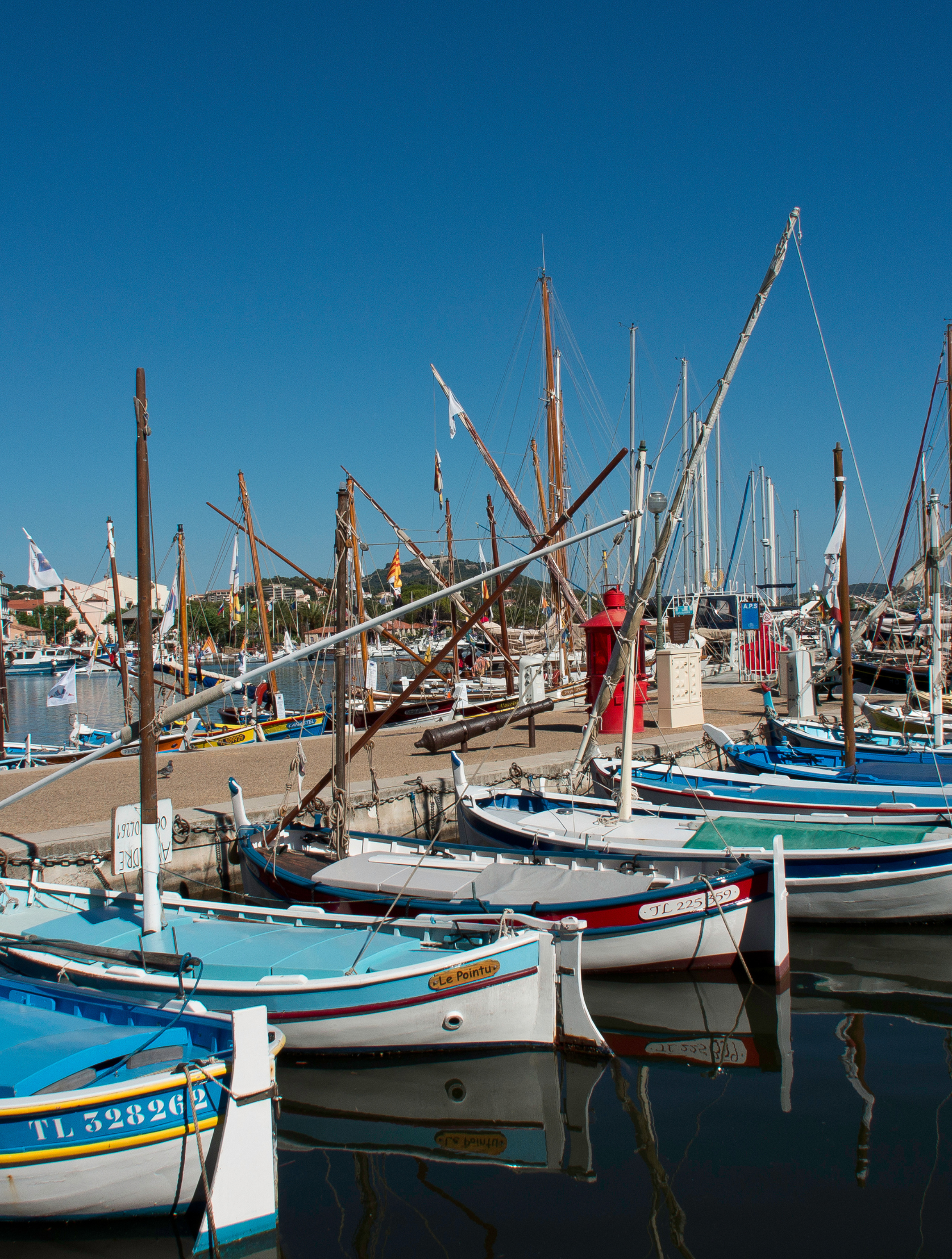 sanarysurmer sanarysurmer